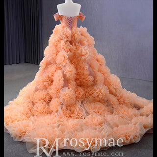 Gorgeous Ball Gown Ruffle Puffy Skirt Quinceanera Dress - Rosymae