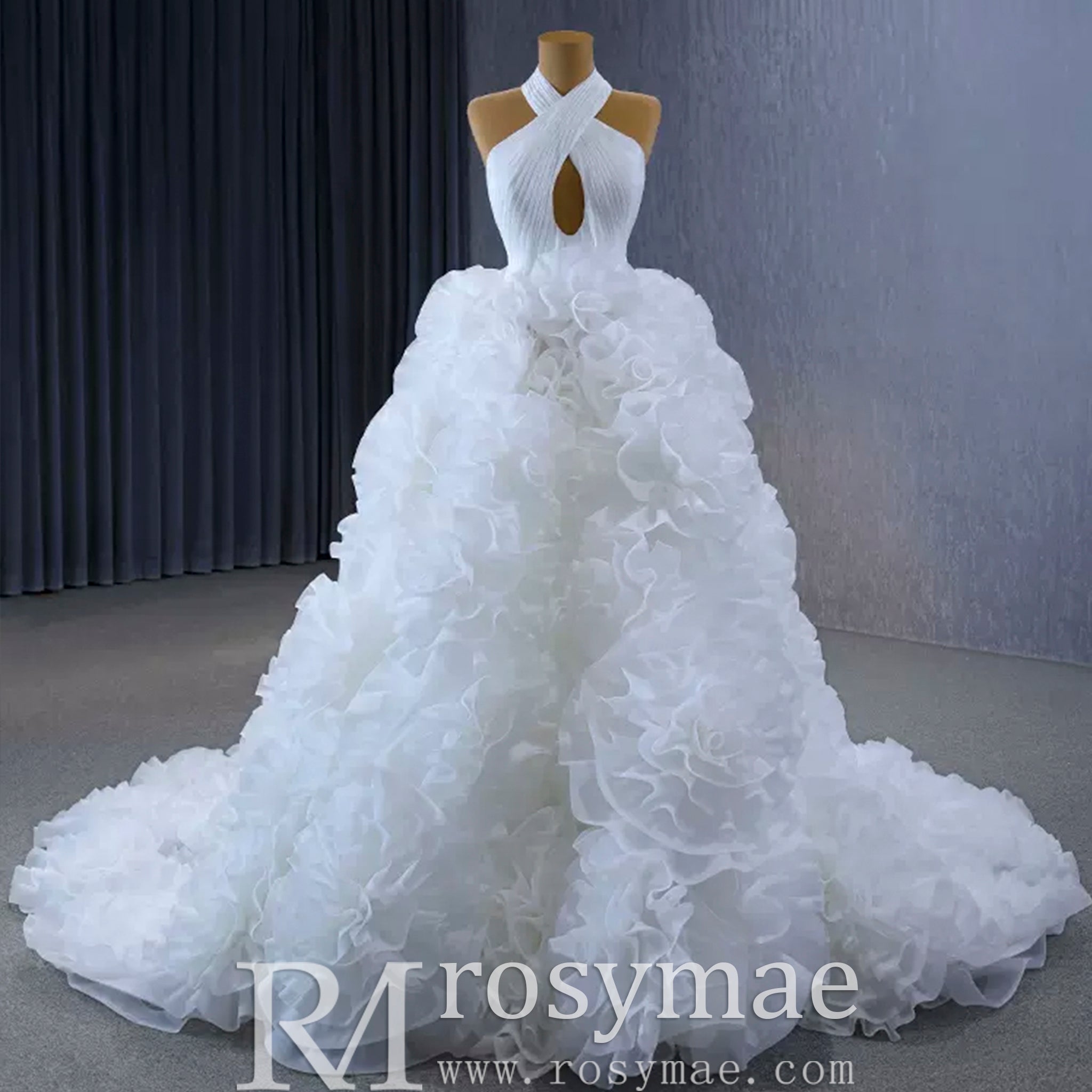 Gorgeous Ball Gown Ruffle Puffy Skirt Quinceanera Dress - Rosymae