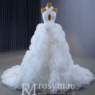 Gorgeous Ball Gown Ruffle Puffy Skirt Quinceanera Dress - Rosymae