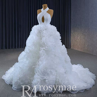 Gorgeous Ball Gown Ruffle Puffy Skirt Quinceanera Dress - Rosymae