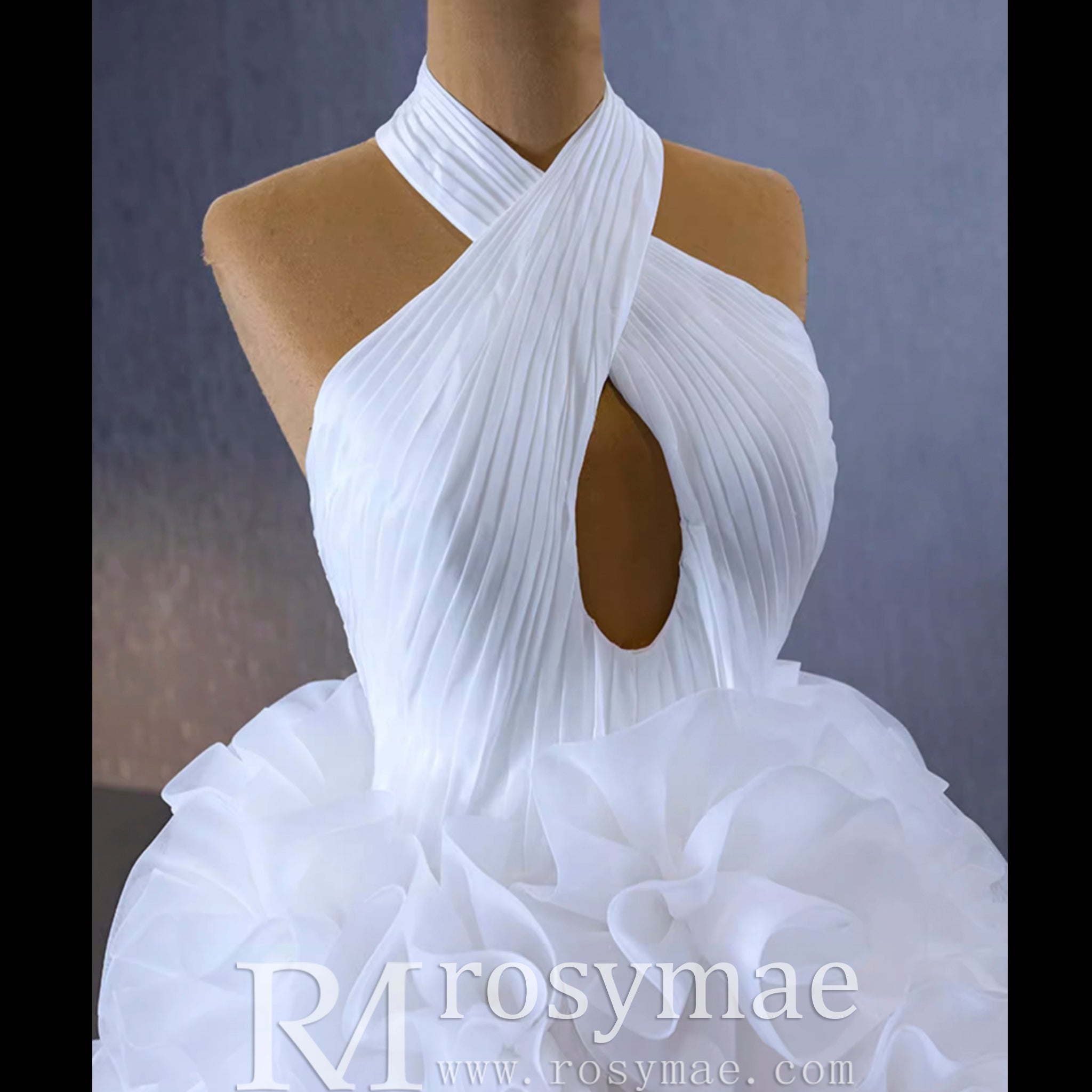 Gorgeous Ball Gown Ruffle Puffy Skirt Quinceanera Dress - Rosymae