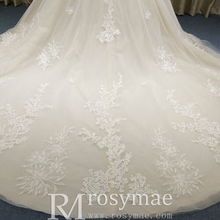 Gorgeous Light Champagne Ball Gown Wedding Dress with Cap Sleeve - Rosymae