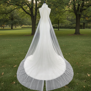 Elegant Lace Mermaid Wedding Dress with A Halter and Open Back