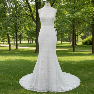 Elegant Lace Mermaid Wedding Dress with A Halter and Open Back