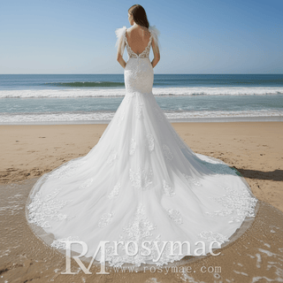 Lace Fit Flare Sheer Bodice Low Back Wedding Dress with Puffy Sleeve - Rosymae