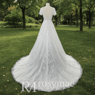 Lace Short Sleeve Wedding Dresses A Line Bridal Gowns with Deep Vneck - Rosymae