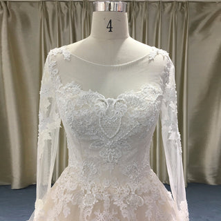 Light Champagne A-line Wedding Dress with Sheer Long Sleeve - Rosymae