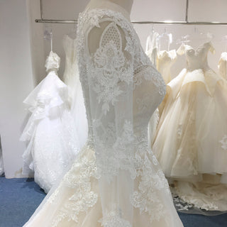 Light Champagne A-line Wedding Dress with Sheer Long Sleeve - Rosymae