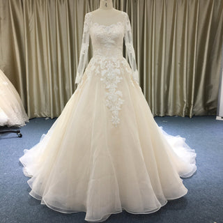 Light Champagne A-line Wedding Dress with Sheer Long Sleeve - Rosymae