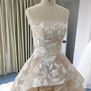 Light Champagne Fairy Tale Tulle Lace Wedding Dress with Ruffle Skirt - Rosymae
