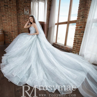 Strapless Sparkly Ball Gown Wedding Dress with Vneck
