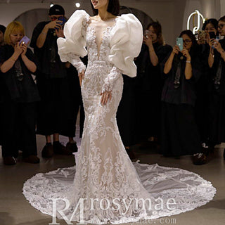 Princess Long Lantern Sleeve Lace Mermaid Wedding Dress