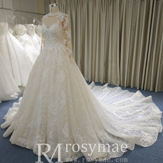 Luxury Lace Ball Gown Wedding Dress with Long Sleeve