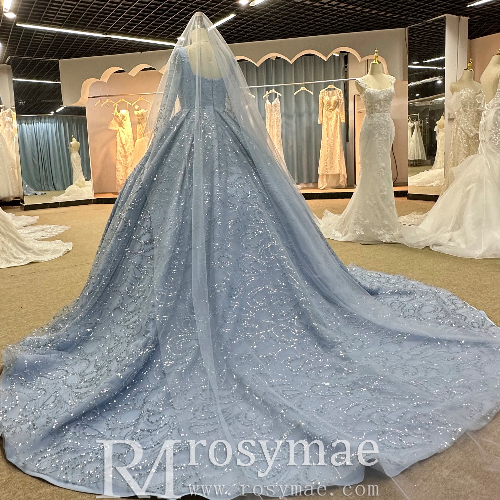 Long Sleeve Sparkly Baby Blue Wedding Dress with Square Neck Baby Blue / 24W Long Sleeve Sparkly Baby Blue Wedding Dress with Square Neck Baby Blue / 24W