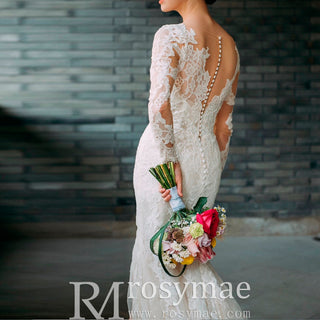 Long Sleeve Lace Overlay Mermaid Wedding Dress with Vneck
