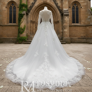 Classic Lace Illusion Long Sleeve Ball Gown Wedding Dress for Elegant Bride