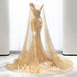 Sexy Trumpet Mermaid Sheer Sparkly Evening Dress with Long Sleeve