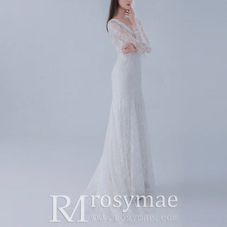 Long Sleeve Lace Sheath & Form Fitting Wedding Dresses+