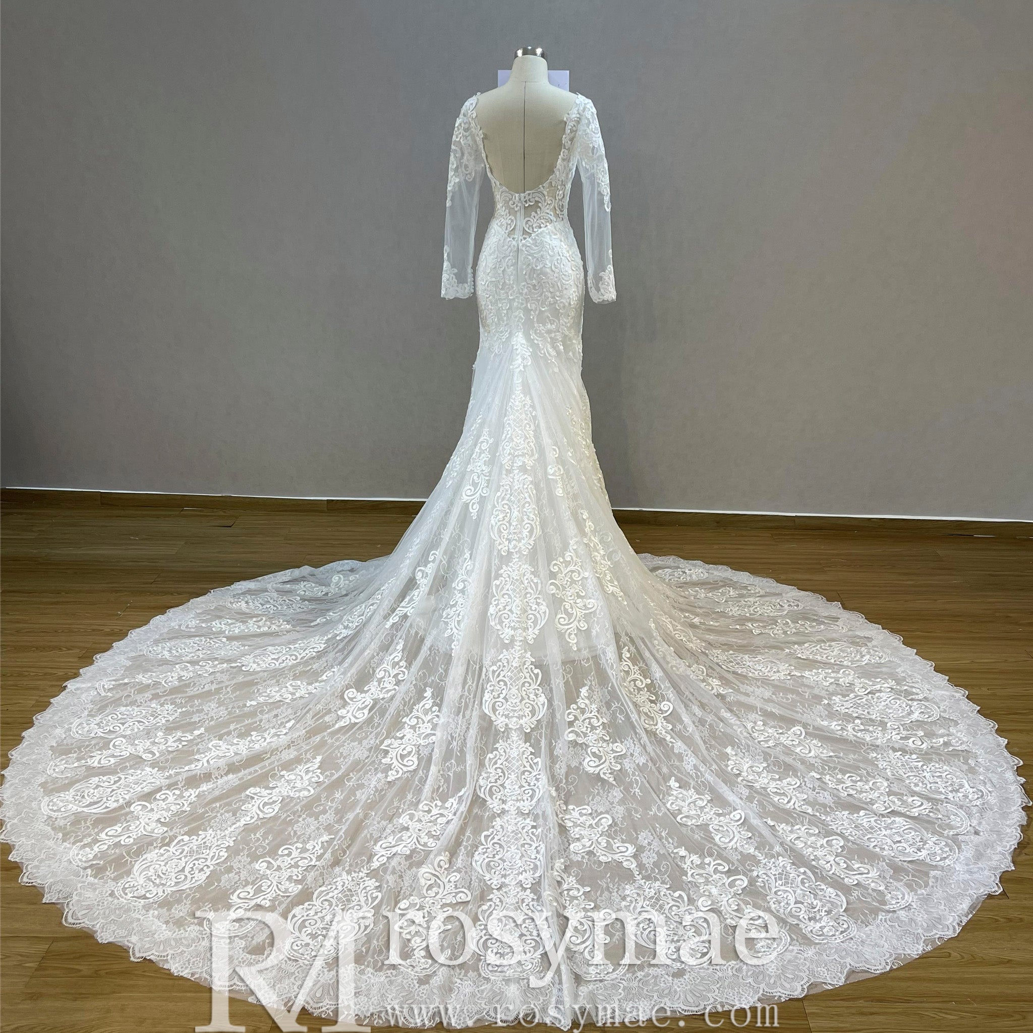 Romantic Vneck Fit and Flare Lace Wedding Dress with Long Sleeves Ivory / 2 Romantic Vneck Fit and Flare Lace Wedding Dress with Long Sleeves Ivory / 2