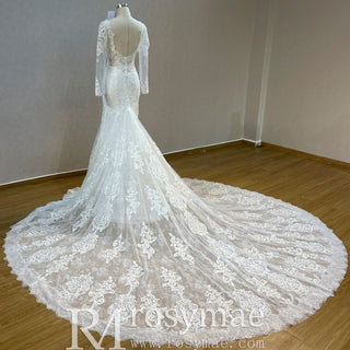 Romantic Vneck Fit and Flare Lace Wedding Dress with Long Sleeves