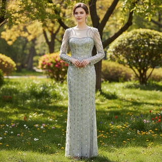 Sparkly Long Sleeve Sheer Neck Evening Dress Party Gown