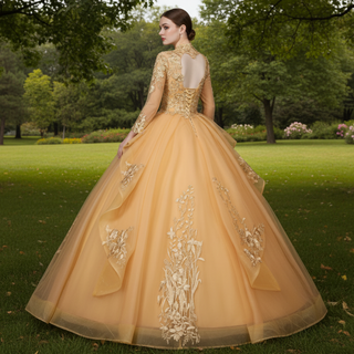 Fashion Long Sleeves Ball Gown V-Neck Lace Applique Prom Dress