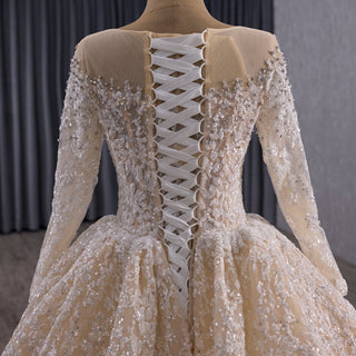 Luxury Champagne Ball Gown Wedding Dress with Sheer Scoop & Long Sleeves - Rosymae