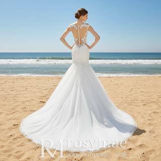Tulle Lace Mermaid Trumpet Wedding Dress with Sheer Back
