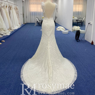Vneck Lace Mermaid Wedding Dress with Open Low Back