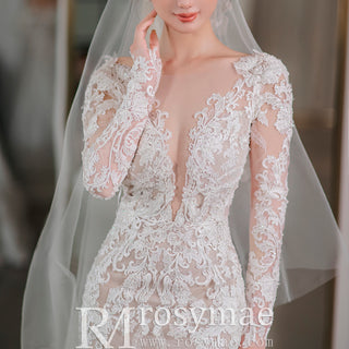 Long Sleeve Fit and Flare Lace Wedding Dress with Vneck