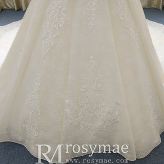 Off the Shoulder Ball Gown V-neck Wedding Dress with Low Back