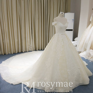 Off the Shoulder Ball Gown V-neck Wedding Dress with Low Back