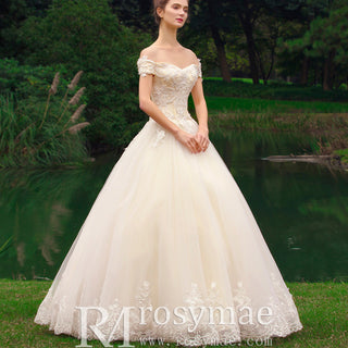 Ball Gown Tulle Lace Wedding Dress with Off the Shoulder
