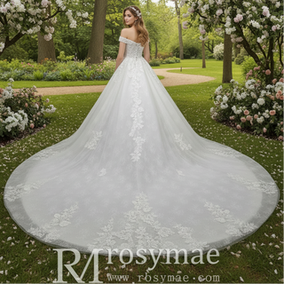 Elegant Off the Shoulder Mesh Wedding Dress with Sheer Bodice