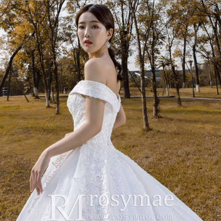Off the Shoulder Ball Gown Lace Wedding Dress with Long Train - Rosymae