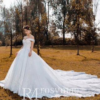 Off the Shoulder Ball Gown Lace Wedding Dress with Long Train - Rosymae