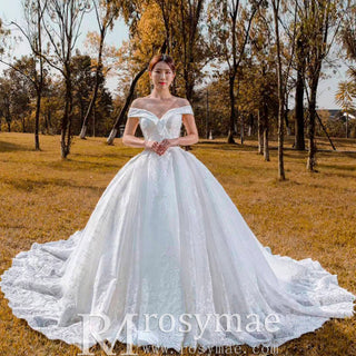 Off the Shoulder Ball Gown Lace Wedding Dress with Long Train - Rosymae