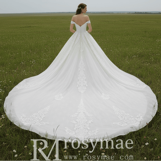 Off the Shoulder Ball Gown V-neck Wedding Dress with Low Back - Rosymae