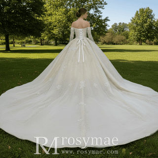 Off the Shoulder Ball Gown Wedding Dress with Long Sleeves - Rosymae