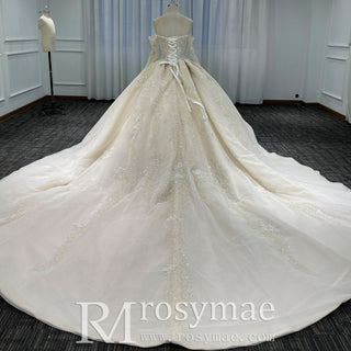 Off the Shoulder Ball Gown Wedding Dress with Long Sleeves - Rosymae