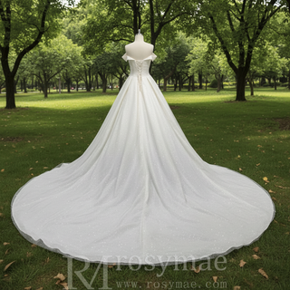 Elegant Off-the-Shoulder Classic Wedding Dresses with V-neck