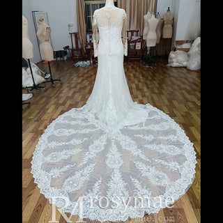 Plus Size Mermaid Lace Tulle Wedding Dress with Long Sleeve - Rosymae