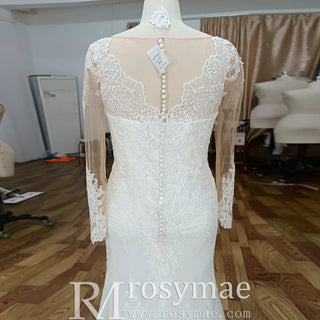Plus Size Mermaid Lace Tulle Wedding Dress with Long Sleeve - Rosymae