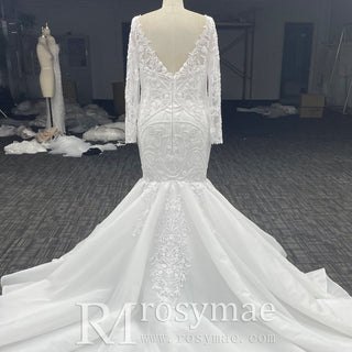 Plus Size Vneck Mermaid & Trumpet Wedding Dress with Long Sleeve - Rosymae