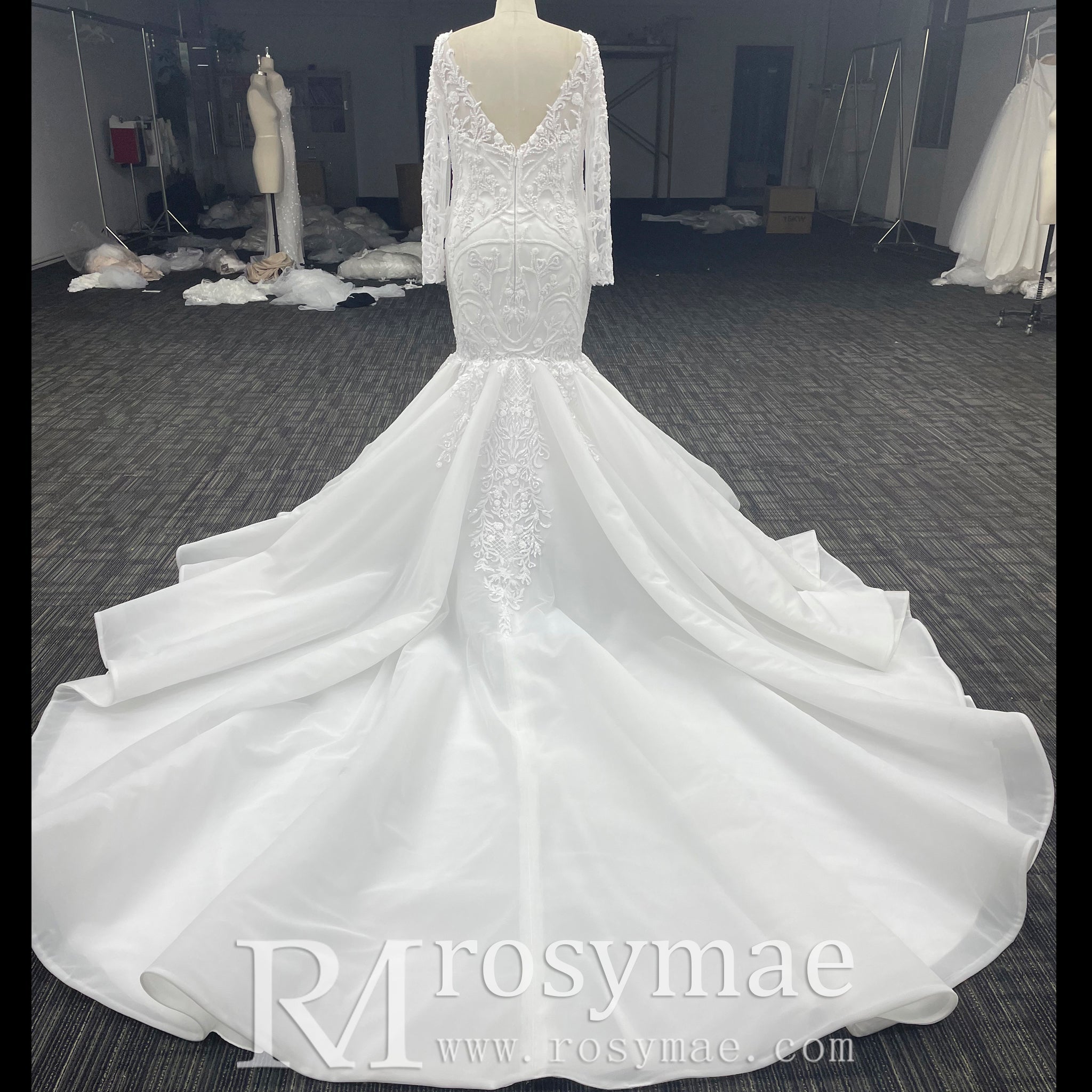 Plus Size Vneck Mermaid & Trumpet Wedding Dress with Long Sleeve - Rosymae