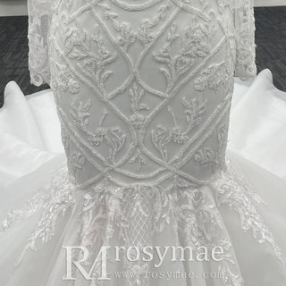 Plus Size Vneck Mermaid & Trumpet Wedding Dress with Long Sleeve - Rosymae