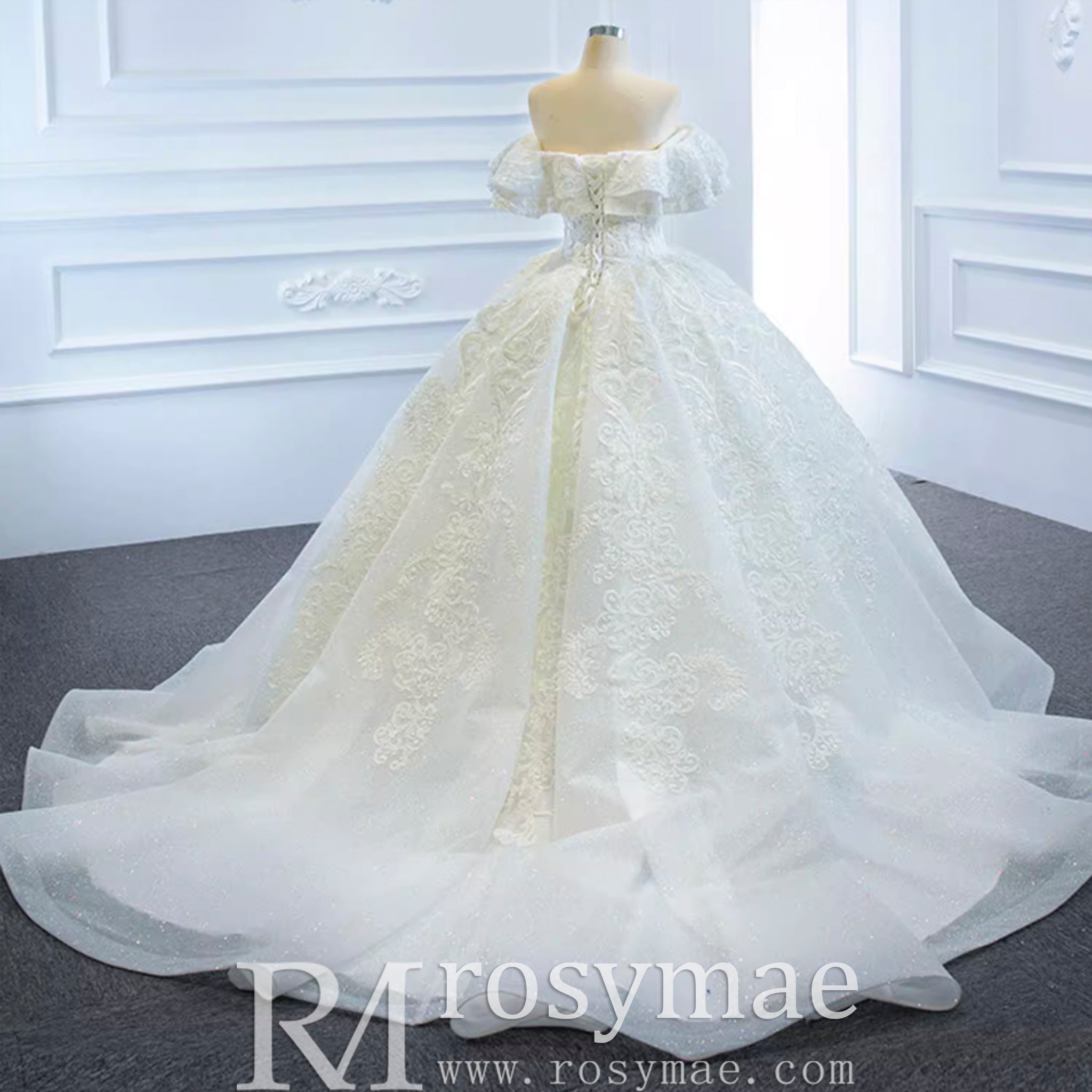 Popular Off the Shoulder Lace Ball Gown Wedding Dress - Rosymae