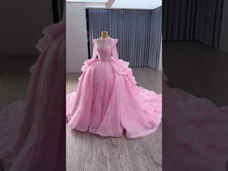 Luxury Modest High Neck Ball Gown Wedding Dress with Long Sleeve