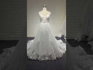 Elegant Floral Lace Appliqued A-line Wedding Dress with V-neck