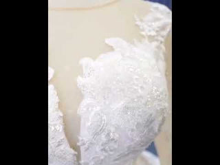 Shiny Vintage Lace Long Sleeve Wedding Dress with Overskirt